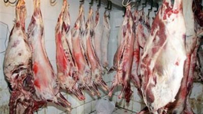 استشاري باطنة: يجب فحص أحشاء الحيوانات قبل تناولها