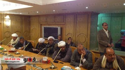 بالفيديو والصور.. زعماء القبائل يحذرون من مخطط الإخوان لإفساد الدستور