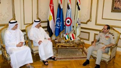 السيسي يلتقي وزير الخارجية الإماراتي