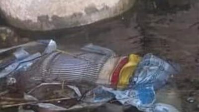 النيابة تقرر انتداب الطبيب الشرعي لفحص جثتي طفلي الدقهلية