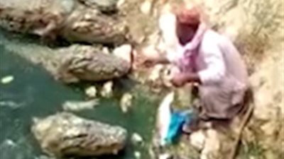 رجل يطعم خمسة تماسيح بيديه العاريتين (فيديو)