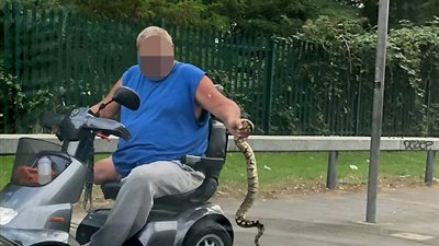 سائق دراجة نارية يواجه ثعبانا ضخما