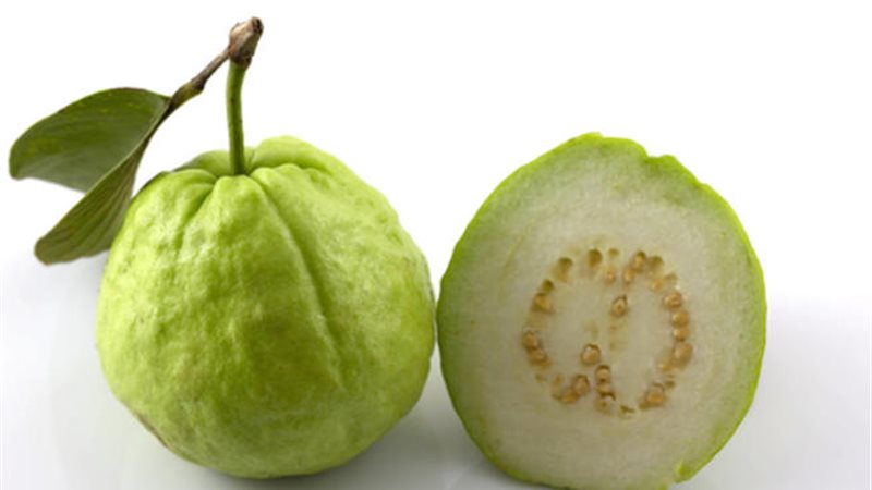 الجوافة 