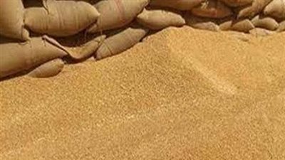 «الكسب» ينتظر التقارير النهائية للخبراء لحسم «فساد القمح»