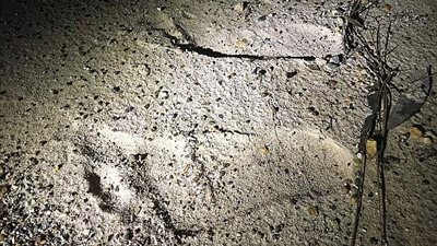 امرأة تواجه وحش «بيج فوت» بأستراليا (صور)