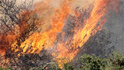 «البيئة»: السيطرة على حرائق قش الأرز بطريق «المنصورة - السنبلاوين»