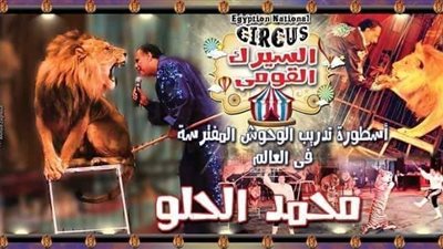 السيرك القومي يقدم عروضه في 3 مواقع مختلفة بالموسم الصيفي