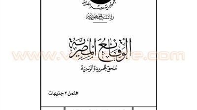 نموذج النظام الأساسى لصناديق التأمين الخاصة