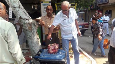 بالصور.. حملة بيطرية على محال الأسماك والدواجن بالشرابية