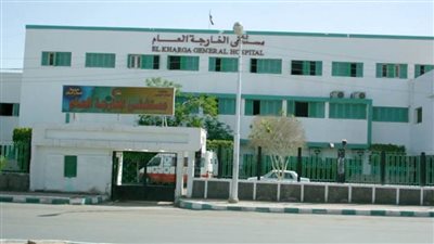 غدا.. قافلة طبية مجانية من 10 تخصصات تصل الوادي الجديد