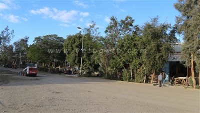 محافظ قنا: مشروع الطريق السياحي بتكلفة 5 ملايين جنيه