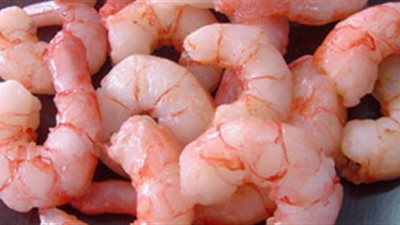 «الجمبري مجمد» يسجل 60 جنيهًا بسوق الجملة