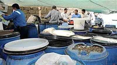 ضبط مصنع لتصنيع «المخللات» دون ترخيص بشبرا الخيمة