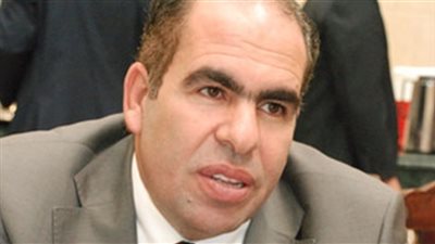 «الوفد»: أكدنا للرئيس أفضلية إجراء الانتخابات الرئاسية أولا