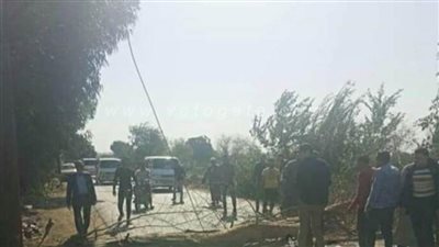 بسبب شدة الرياح.. سقوط شجرة على طريق زفتى فى الغربية