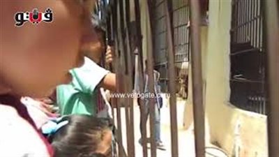 أطفال يحاولون جذب انتباه الحيوانات المفترسة في حديقة الحيوان (فيديو)