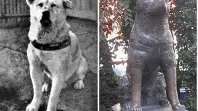 هاتشيكو.. الكلب الذى صنع له اليابنيون تمثالاً