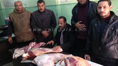 ضبط 4 مخالفات في حملة لتموين البحيرة على محلات الجزارة بأبو حمص