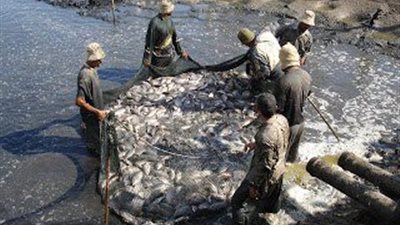 أهالي الحسينية يهددون بالاعتصام أمام مكتب محافظ الشرقية