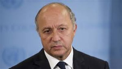 فرنسا: ليس في خطتنا الحالية ضرب «داعش» بسوريا