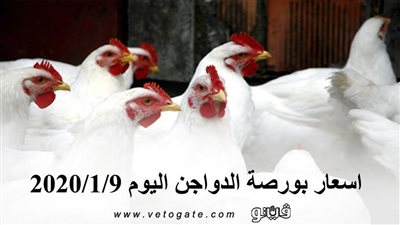 اسعار بورصة الدواجن اليوم 2020/1/9