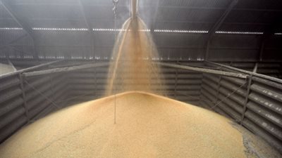 ارتفاع مخزون القمح بميناء الإسكندرية إلى 943 ألف طن