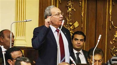 علاء عبد المنعم: إجراء انتخابات المحليات قبل النواب يؤدي إلى مشاكل عديدة للنواب مع أبناء دوائرهم