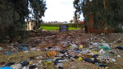 خلال جولة للمحافظ.. إزالة وصلات الكهرباء المخالفة بالشرقية | صور