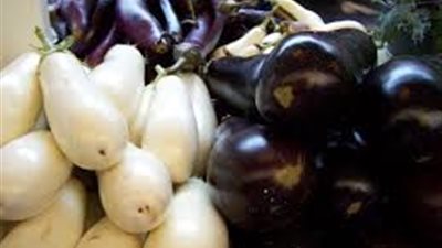 الباذنجان يعالج السمنة والقلب والضغط ويقى من السرطان