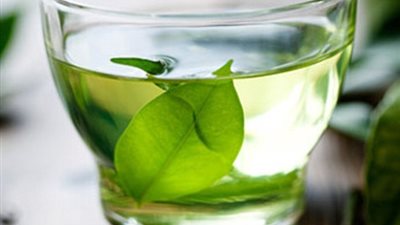 دراسة: الشاي الأخضر يحارب السرطان