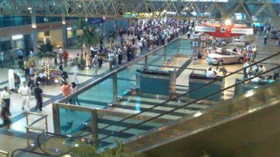 جمارك قرية البضائع تحبط محاولة تهريب عدد من الطيور المحظورة