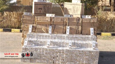 بالصور.. تجفيف منابع الإرهاب في سيناء.. تدمير 7 أنفاق بـ«رفح».. ضبط مخزن وبداخله 62 جهاز «لاب توب» وسيارة معدة للتهريب بالأنفاق.. ومركب يحمل 1700 كيلو بانجو.. وإحباط هجرة 69 شخصًا