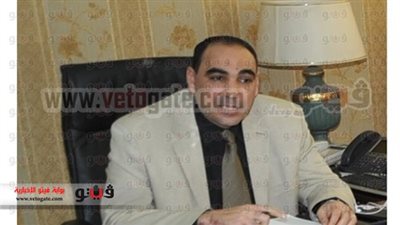 رئيس الأمانة الفنية لمحور تنمية قناة السويس يلتقى وفدا سويسريا