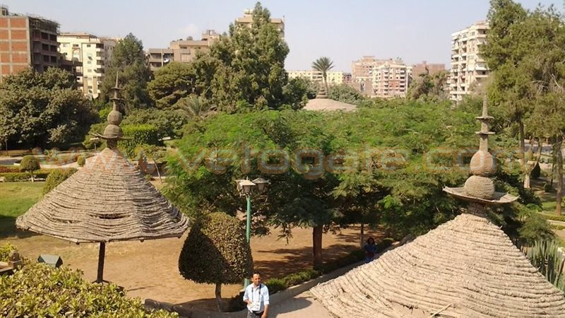 فيتو
