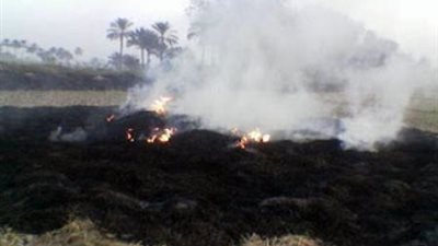 حرق قش الأرز بالشرقية خلال إجازة العيد