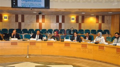 اتفاقية بين «الإنتاج الحربي» و«آي كابيتال» لهيكلة «حلوان للصناعات الهندسية»