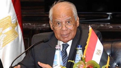 رئيس مركز المعلومات: الاستفتاء يعطي ثورة يونيو شرعية يعترف بها العالم