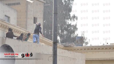 ننشر تقرير  تقصى 