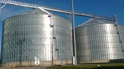 «التموين» تنفي إضافة الماء إلى القمح بالصوامع