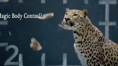 بالفيديو.. مرسيدس تتباهى بـ «الدجاجة» و«فهد» جاجوار يفترسها