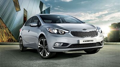 بالفيديو والصور.. 