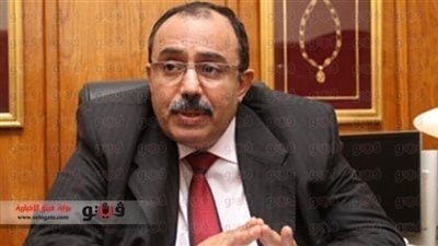 608 لجان فرعية و15 لجنة عامة بالقليوبية استعدادًا للاستفتاء