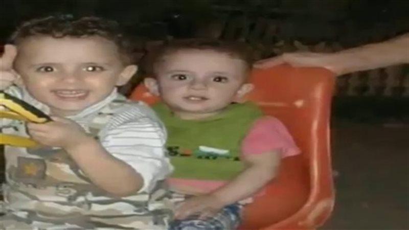 فيتو