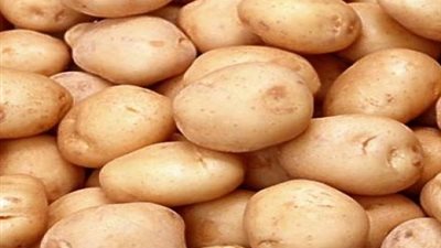 تقرير رسمي: زيادة الصادرات المصرية من البطاطس 697 ألف طن