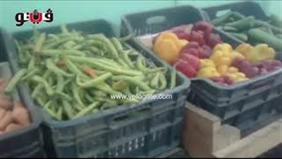 بالفيديو.. استقرار أسعار الخضروات اليوم بالأسواق
