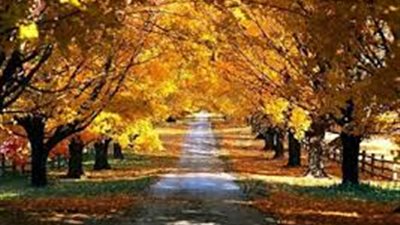 اليوم.. بداية الخريف و«الأرصاد» تنصح المسئولين بالتأهب