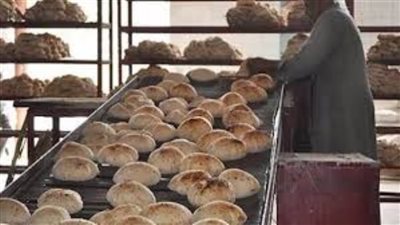 محاضر بالجملة على المخابز في الإسكندرية