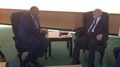 شكري لنظيره العراقي: حريصون على دعم بغداد في حربها ضد الإرهاب