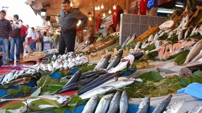 ارتفاع أسعار الأسماك.. واستقرار اللحوم بالأسواق