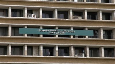 القوى العاملة تحذر المصريين بالإمارات من شركات التوظيف الوهمية